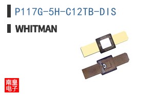 P117G-5H-C12TB-DIS ͼƬ